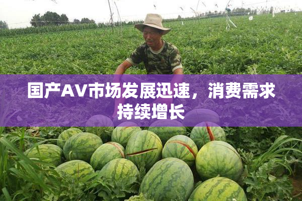 国产AV市场发展迅速，消费需求持续增长