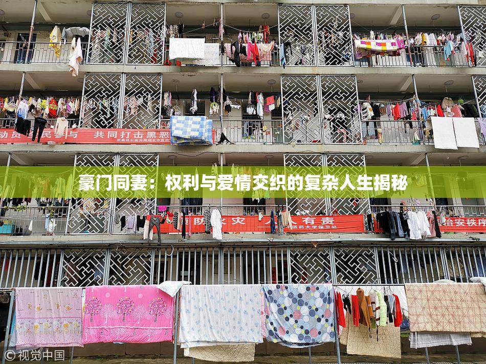 豪门同妻：权利与爱情交织的复杂人生揭秘