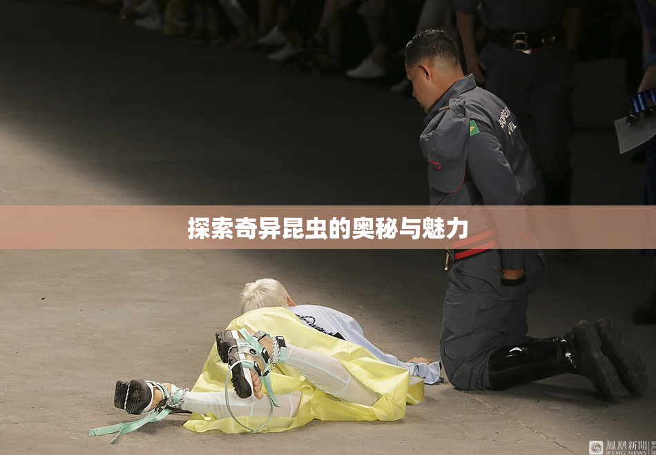 探索奇异昆虫的奥秘与魅力