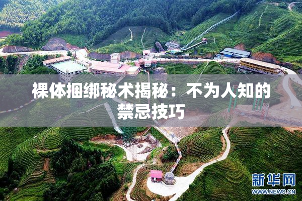 裸体捆绑秘术揭秘：不为人知的禁忌技巧