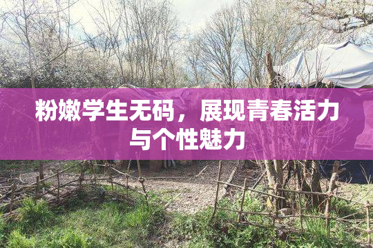 粉嫩学生无码，展现青春活力与个性魅力