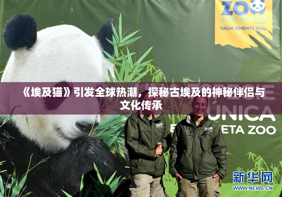 《埃及猫》引发全球热潮，探秘古埃及的神秘伴侣与文化传承