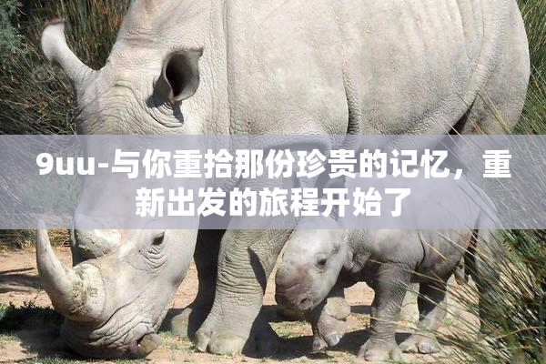 9uu-与你重拾那份珍贵的记忆，重新出发的旅程开始了