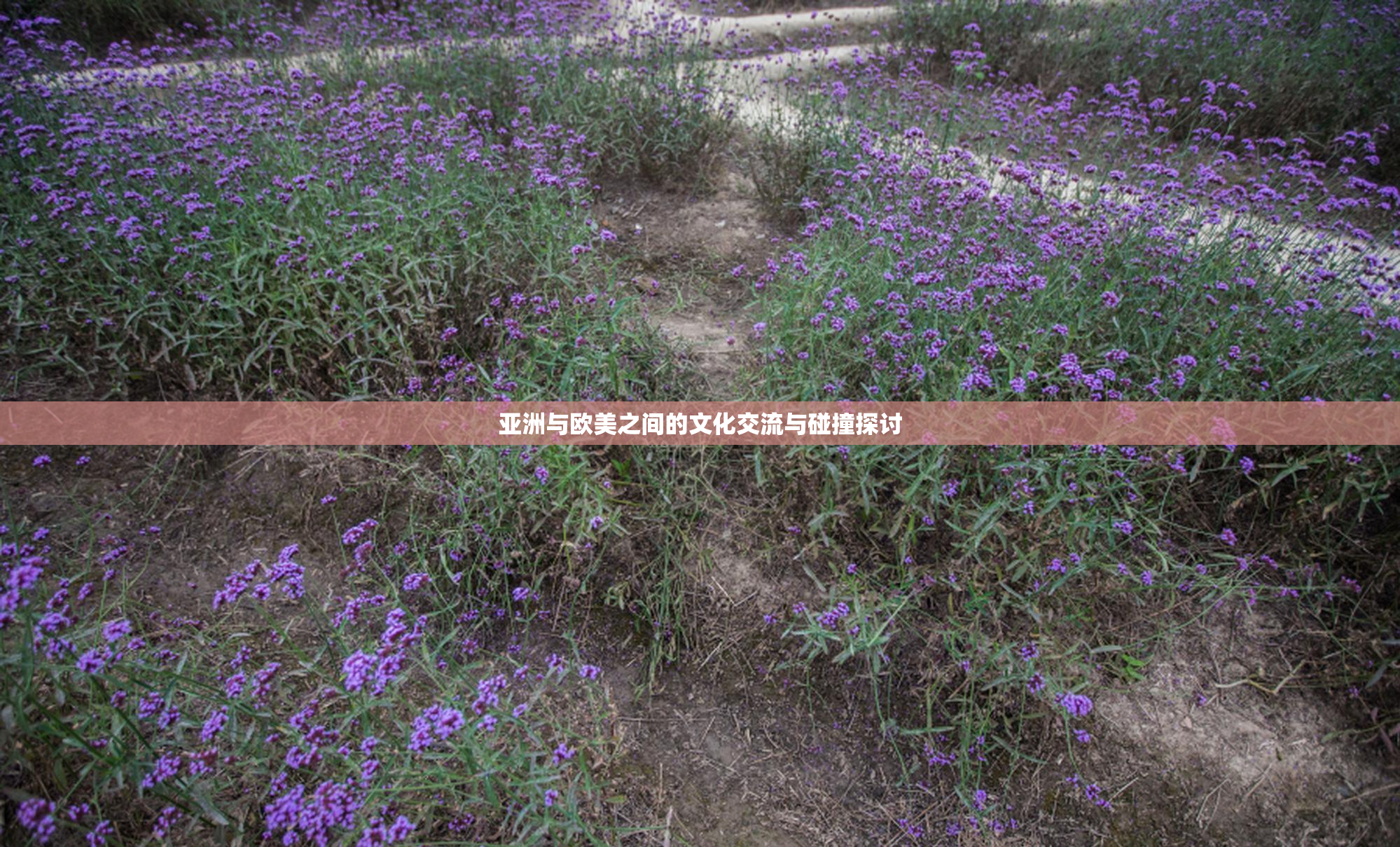 亚洲与欧美之间的文化交流与碰撞探讨