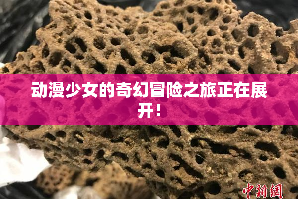 动漫少女的奇幻冒险之旅正在展开！