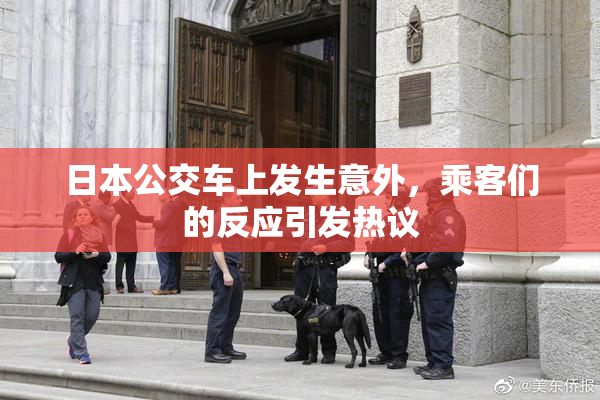 日本公交车上发生意外，乘客们的反应引发热议