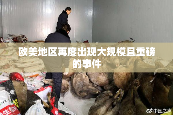 欧美地区再度出现大规模且重磅的事件