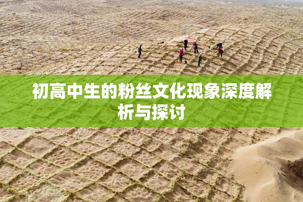 初高中生的粉丝文化现象深度解析与探讨