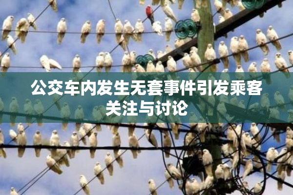 公交车内发生无套事件引发乘客关注与讨论
