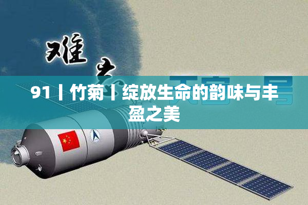 91丨竹菊丨绽放生命的韵味与丰盈之美