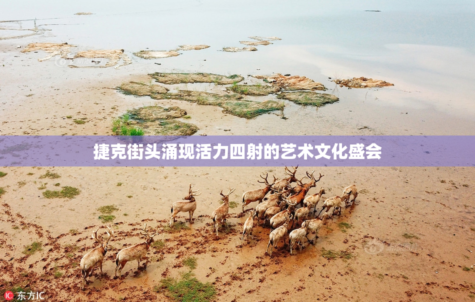 捷克街头涌现活力四射的艺术文化盛会