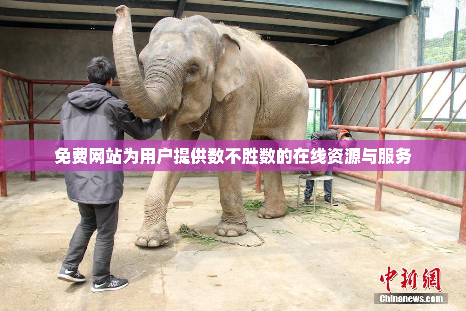 免费网站为用户提供数不胜数的在线资源与服务