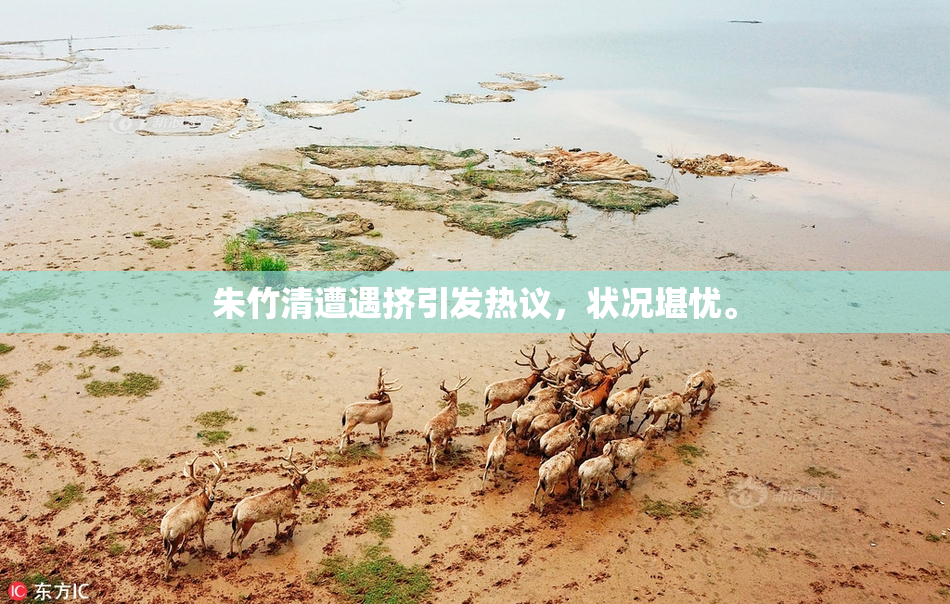 朱竹清遭遇挤引发热议，状况堪忧。