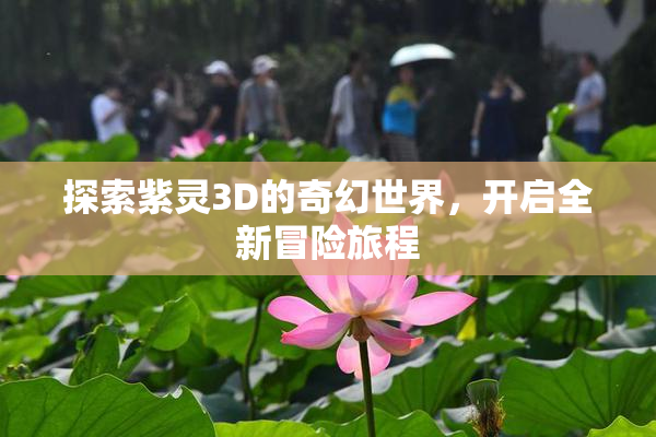 探索紫灵3D的奇幻世界，开启全新冒险旅程