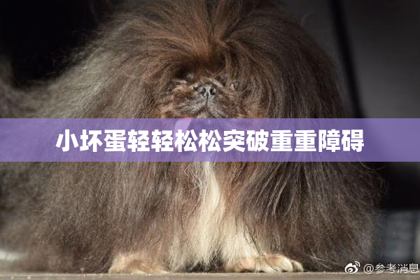 小坏蛋轻轻松松突破重重障碍