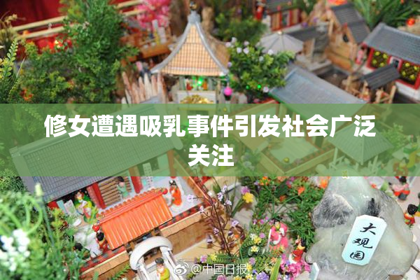 修女遭遇吸乳事件引发社会广泛关注