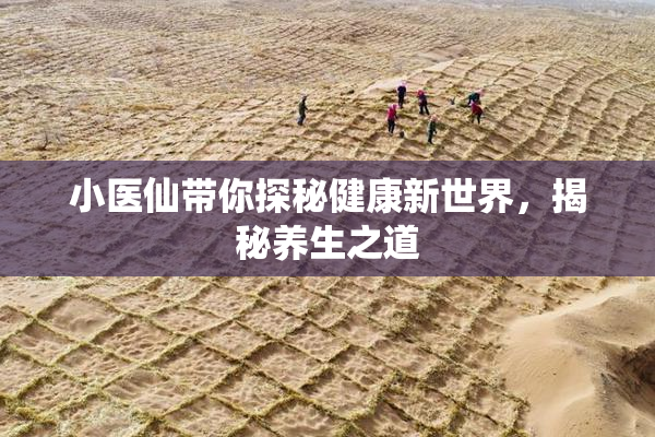 小医仙带你探秘健康新世界，揭秘养生之道