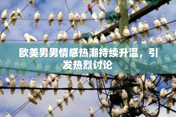 欧美男男情感热潮持续升温，引发热烈讨论