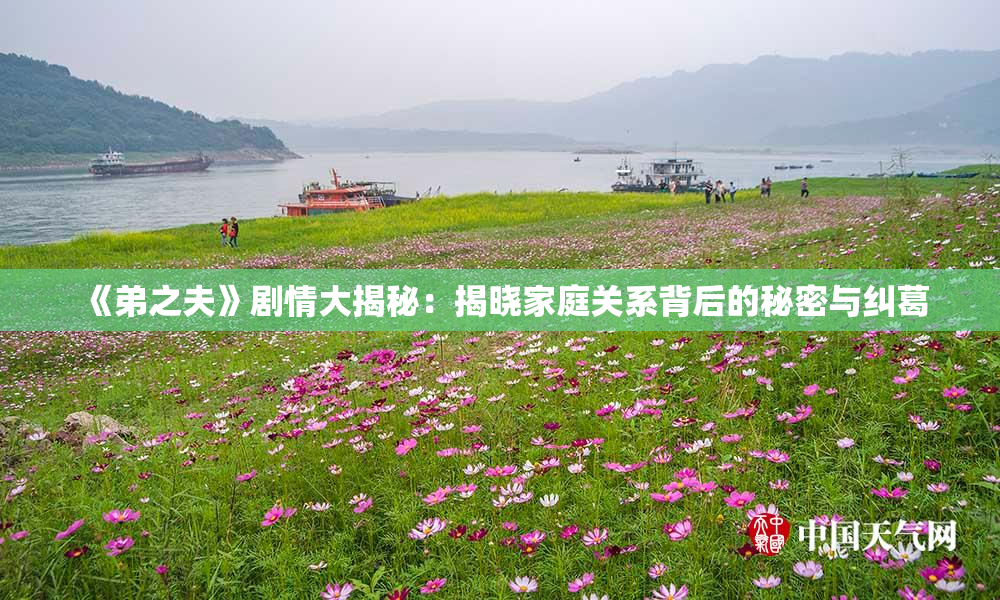 《弟之夫》剧情大揭秘：揭晓家庭关系背后的秘密与纠葛