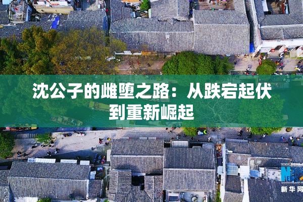 沈公子的雌堕之路：从跌宕起伏到重新崛起
