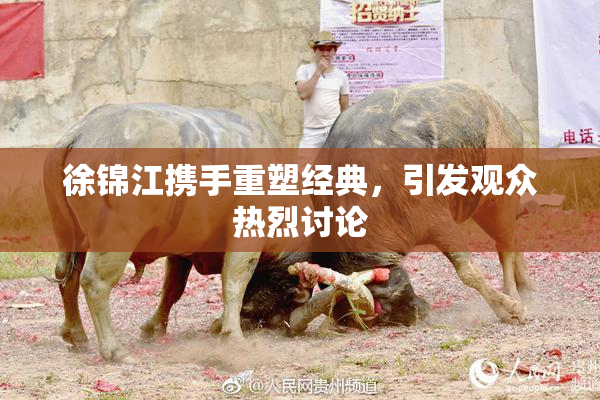 徐锦江携手重塑经典，引发观众热烈讨论