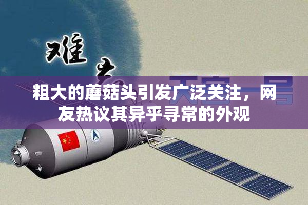粗大的蘑菇头引发广泛关注，网友热议其异乎寻常的外观