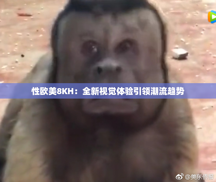 性欧美8KH：全新视觉体验引领潮流趋势