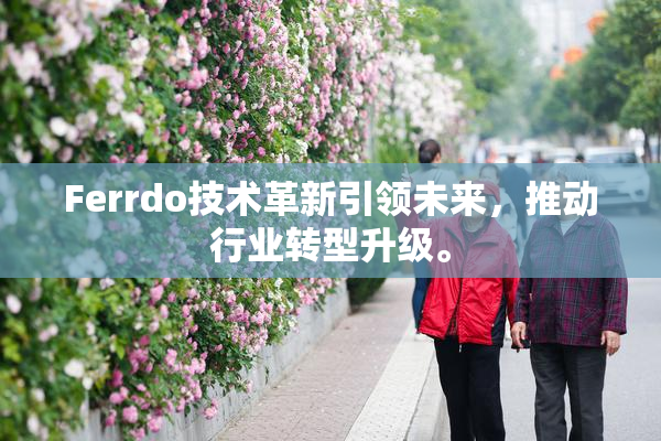 Ferrdo技术革新引领未来，推动行业转型升级。
