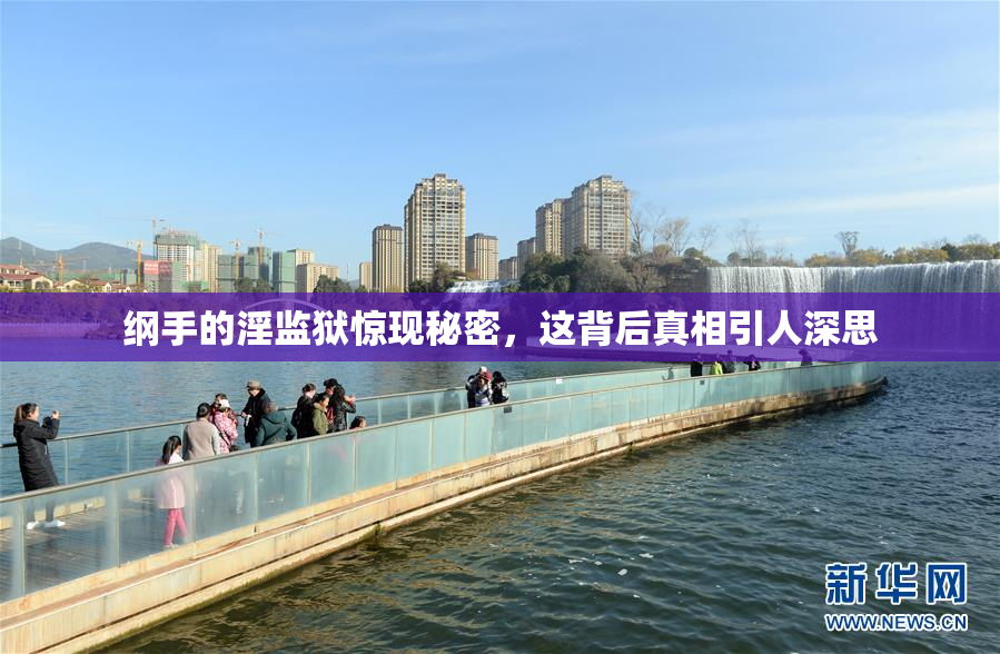 纲手的淫监狱惊现秘密，这背后真相引人深思