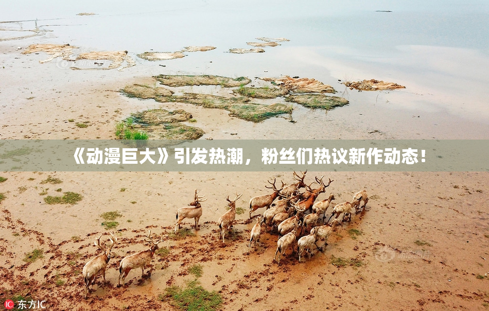 《动漫巨大》引发热潮，粉丝们热议新作动态！