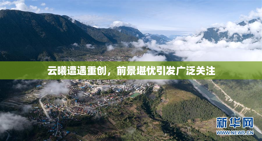 云曦遭遇重创，前景堪忧引发广泛关注