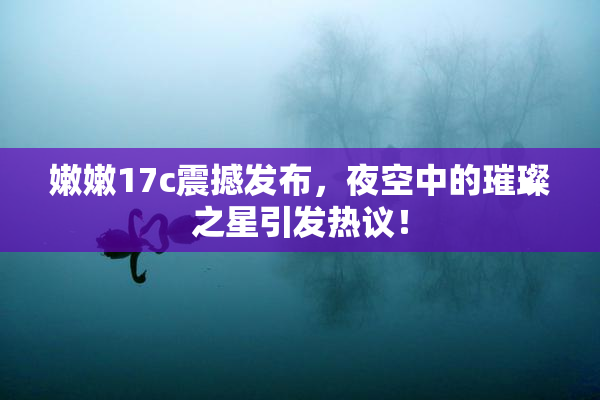 嫩嫩17c震撼发布，夜空中的璀璨之星引发热议！