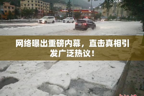 网络曝出重磅内幕，直击真相引发广泛热议！