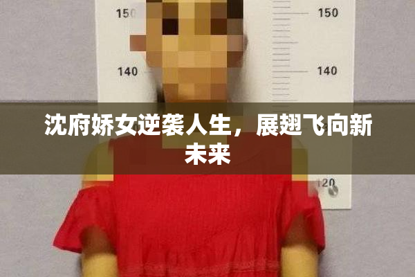 沈府娇女逆袭人生，展翅飞向新未来
