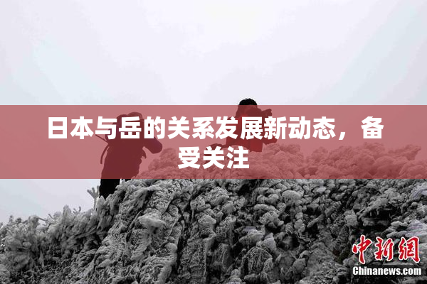 日本与岳的关系发展新动态，备受关注