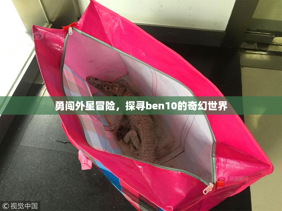 勇闯外星冒险，探寻ben10的奇幻世界