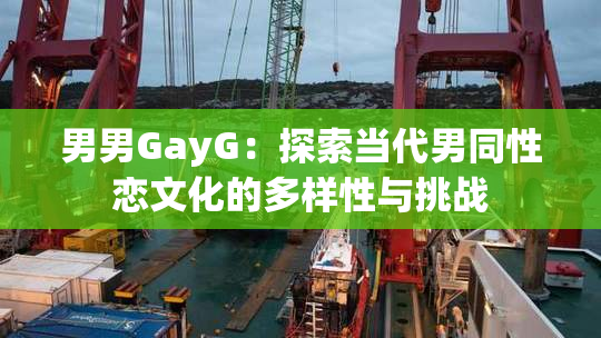 男男GayG：探索当代男同性恋文化的多样性与挑战