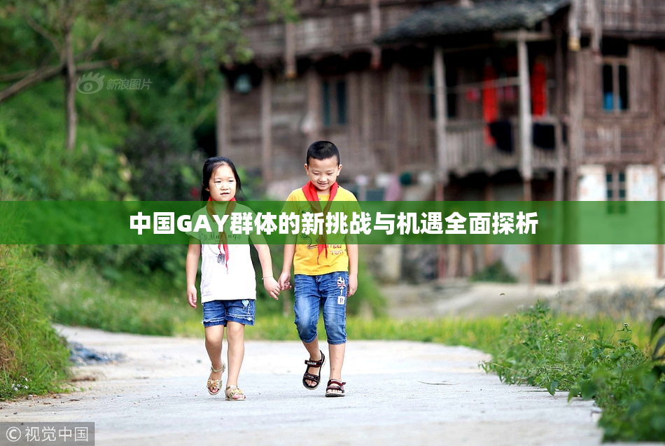 中国GAY群体的新挑战与机遇全面探析