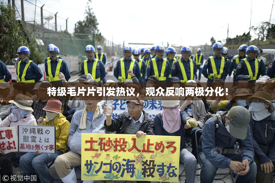特级毛片片引发热议，观众反响两极分化！