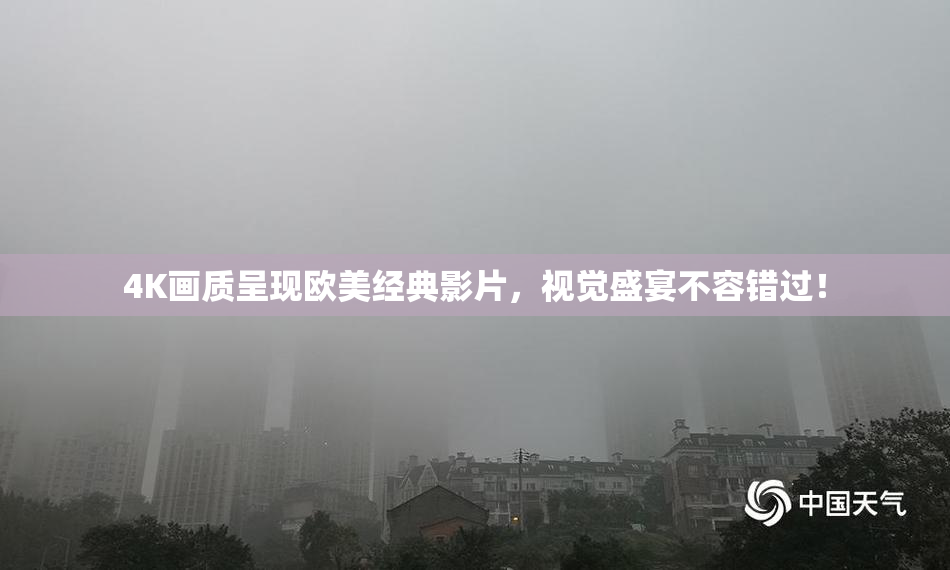 4K画质呈现欧美经典影片，视觉盛宴不容错过！