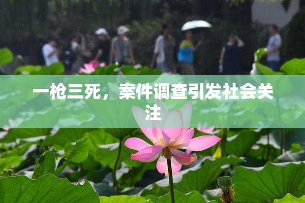 一枪三死，案件调查引发社会关注