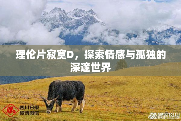 理伦片寂寞D，探索情感与孤独的深邃世界
