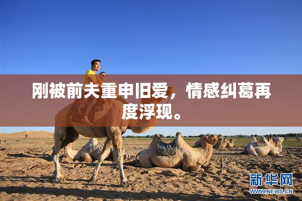 刚被前夫重申旧爱，情感纠葛再度浮现。