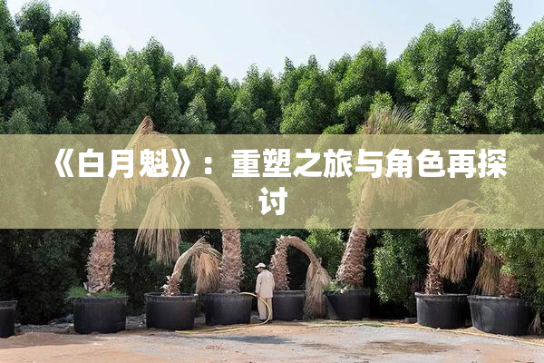 《白月魁》：重塑之旅与角色再探讨
