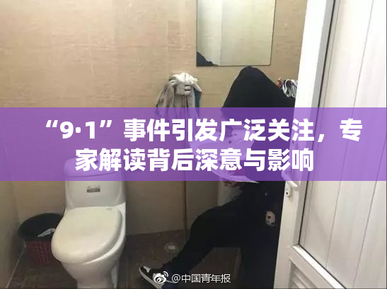 “9·1”事件引发广泛关注，专家解读背后深意与影响