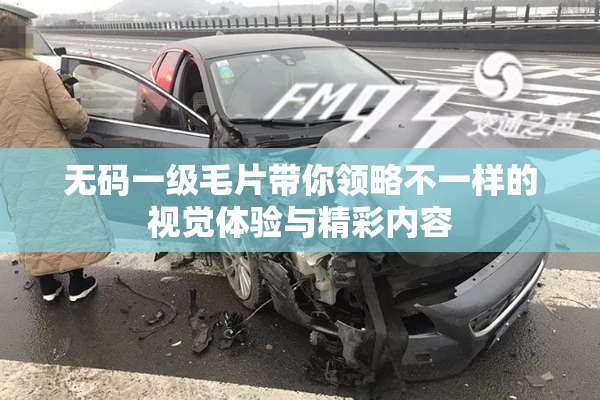 无码一级毛片带你领略不一样的视觉体验与精彩内容
