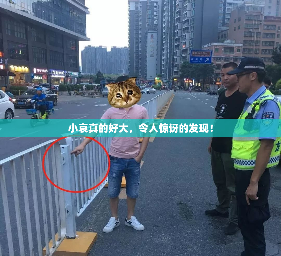 小哀真的好大，令人惊讶的发现！