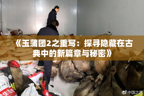 《玉蒲团2之重写：探寻隐藏在古典中的新篇章与秘密》