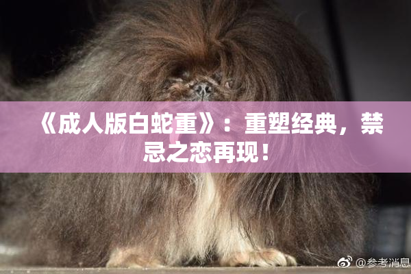《成人版白蛇重》：重塑经典，禁忌之恋再现！