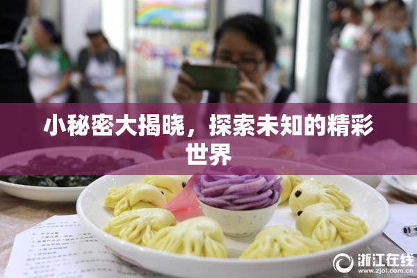 小秘密大揭晓，探索未知的精彩世界